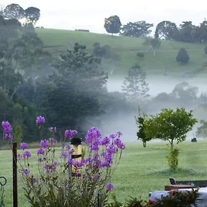la-dolce-vita.queenslandhotels.net/