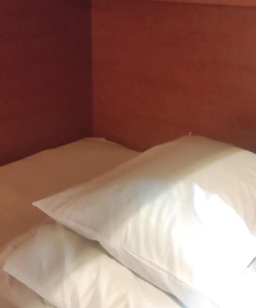Ace Inn Shinjuku Tóquio 0*,  Japão